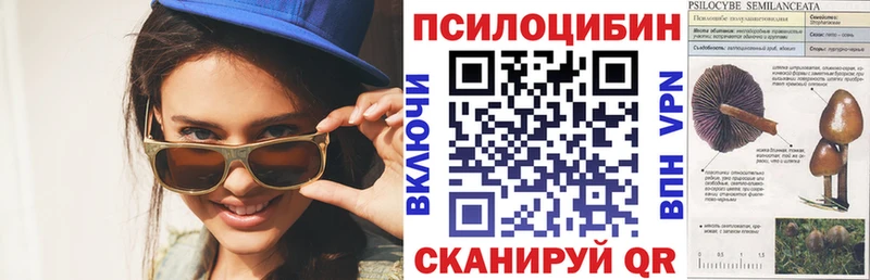 Псилоцибиновые грибы мухоморы  Щёлково 